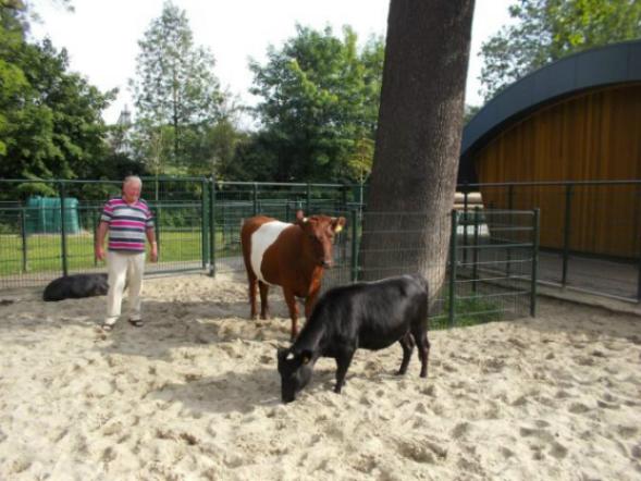 stallendag 2012